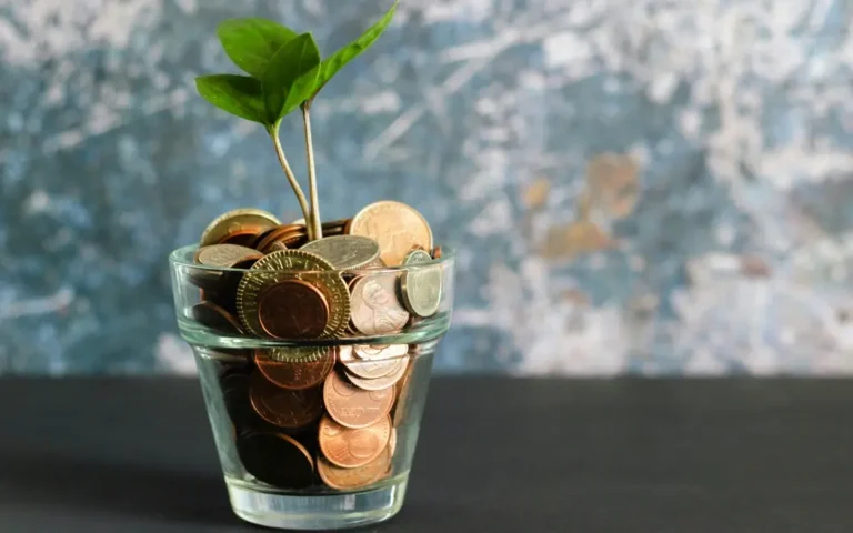 senior fundraiser ideas