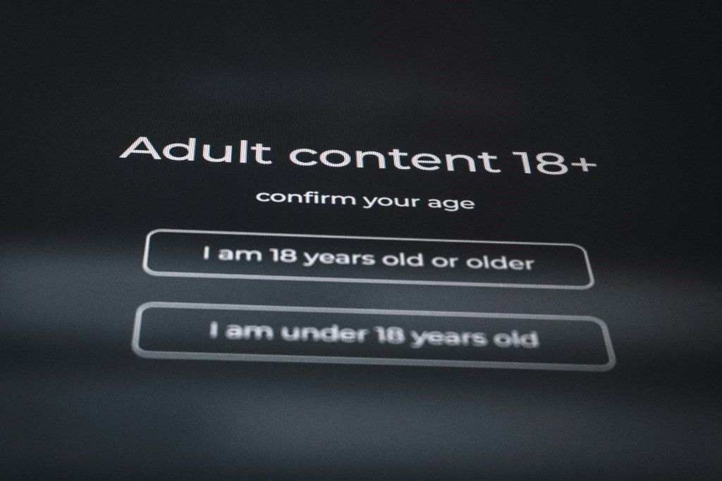 age verification porn site