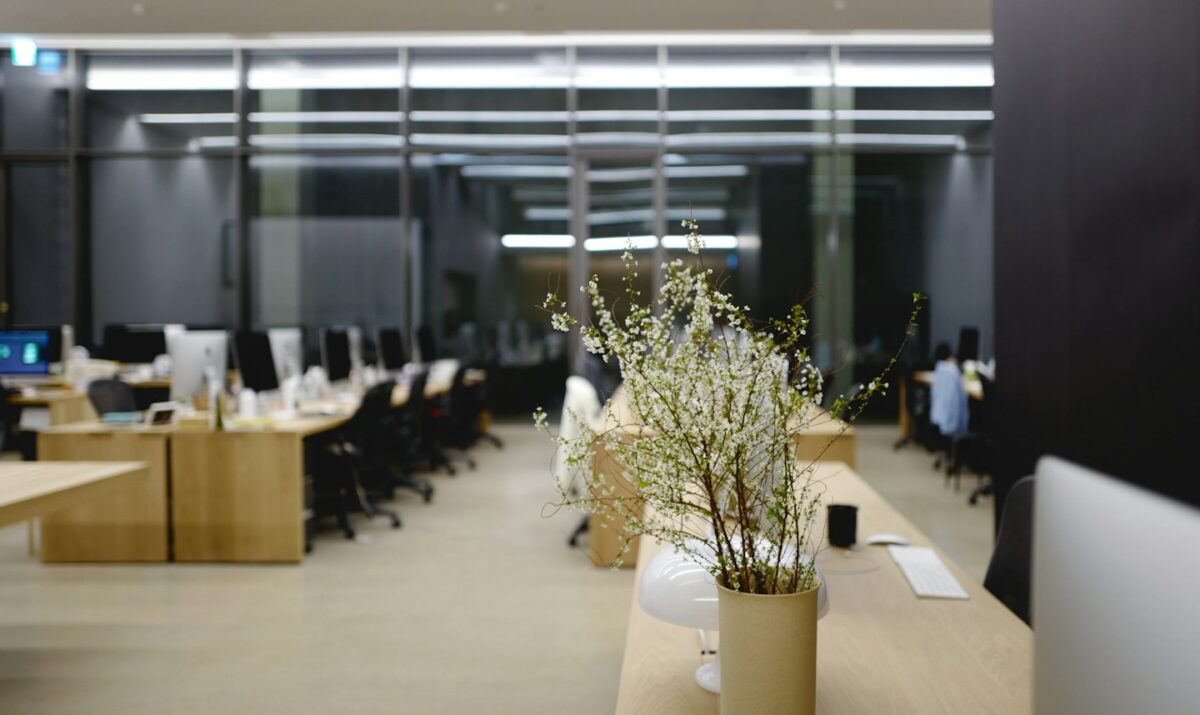 a plant in a vase on a table in an office