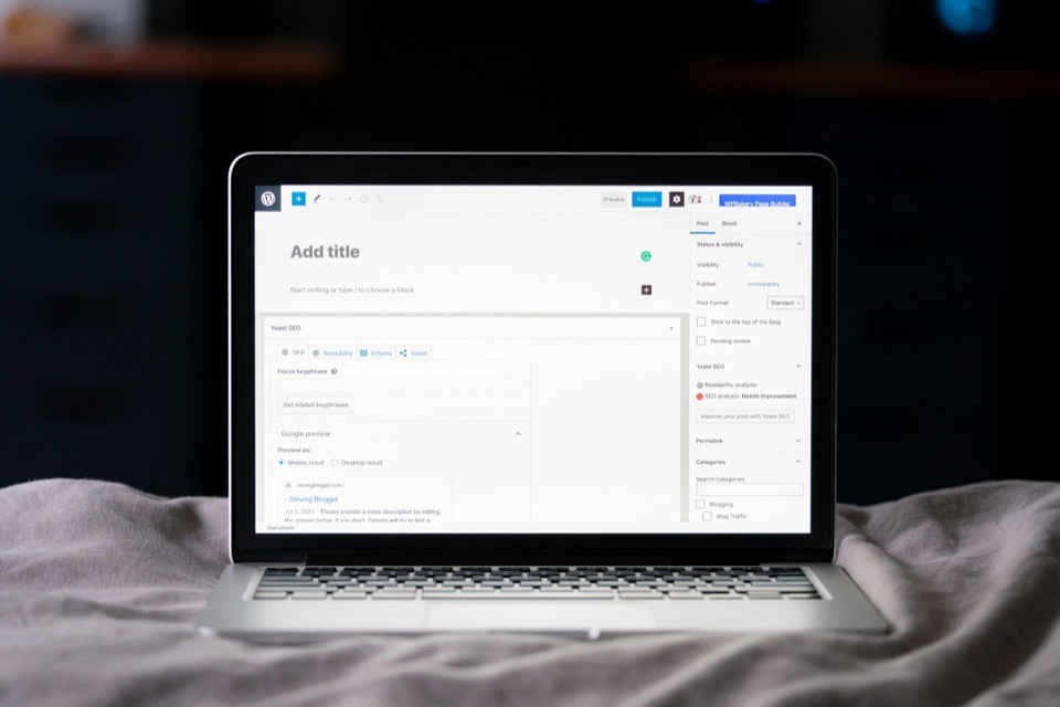 blog for fan site and webcam site