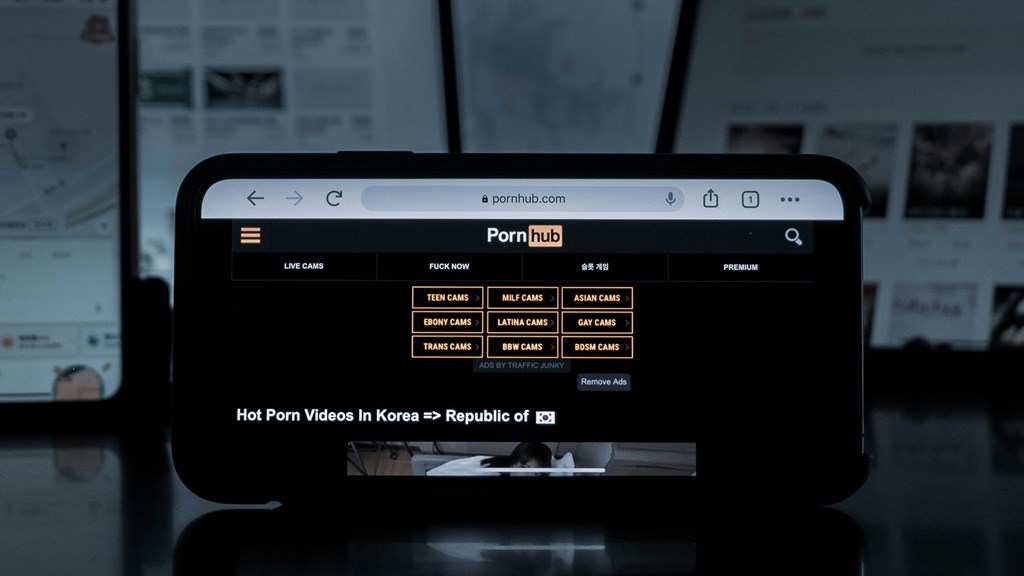 pornhub interface